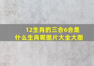 12生肖的三合6合是什么生肖呢图片大全大图