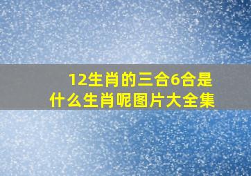 12生肖的三合6合是什么生肖呢图片大全集