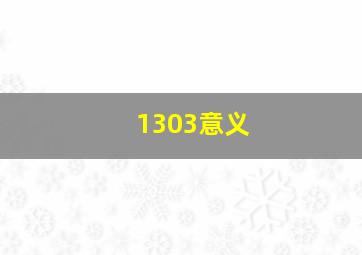 1303意义