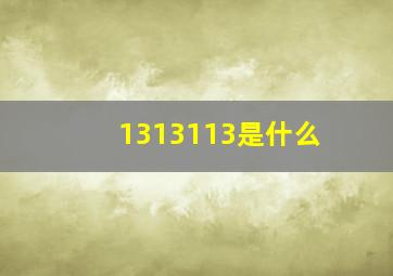 1313113是什么