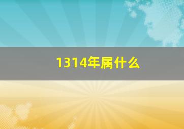 1314年属什么