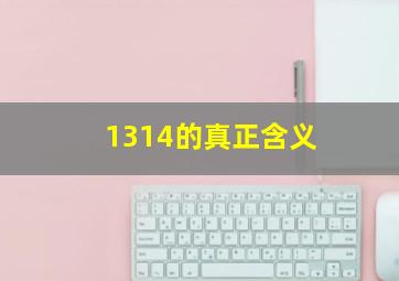 1314的真正含义