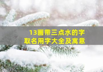 13画带三点水的字取名用字大全及寓意