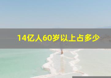 14亿人60岁以上占多少