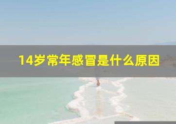 14岁常年感冒是什么原因