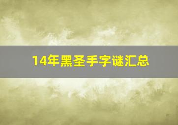 14年黑圣手字谜汇总