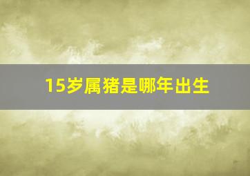 15岁属猪是哪年出生