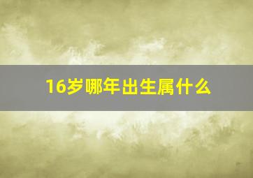 16岁哪年出生属什么