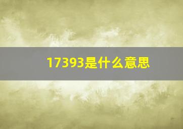 17393是什么意思