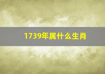 1739年属什么生肖