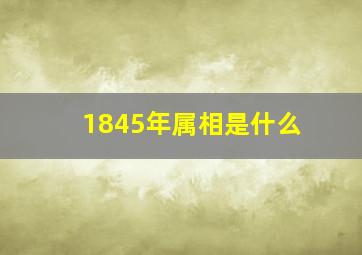 1845年属相是什么