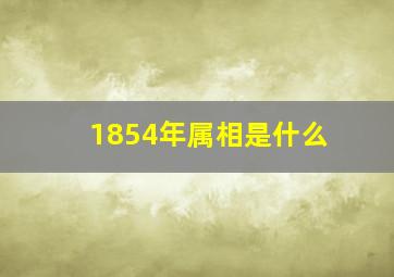 1854年属相是什么