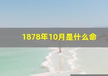 1878年10月是什么命