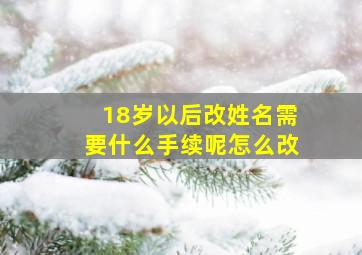 18岁以后改姓名需要什么手续呢怎么改