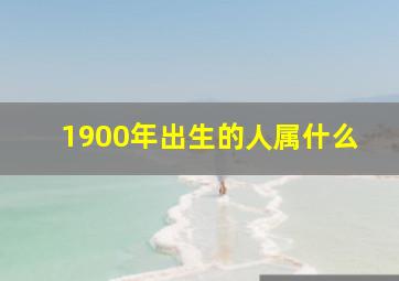 1900年出生的人属什么