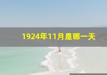 1924年11月是哪一天