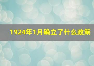 1924年1月确立了什么政策