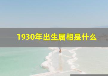 1930年出生属相是什么