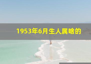 1953年6月生人属啥的