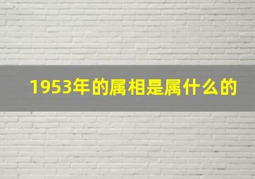 1953年的属相是属什么的