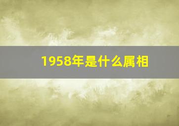 1958年是什么属相