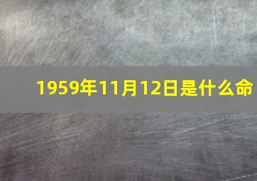 1959年11月12日是什么命