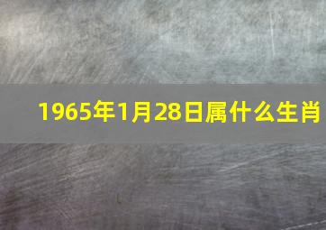 1965年1月28日属什么生肖