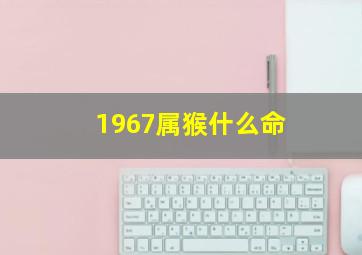 1967属猴什么命