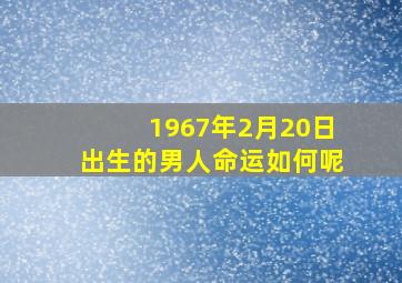 1967年2月20日出生的男人命运如何呢