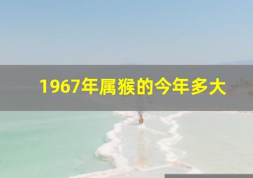 1967年属猴的今年多大