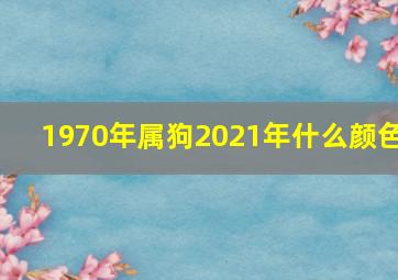 1970年属狗2021年什么颜色