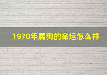 1970年属狗的命运怎么样