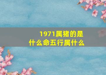 1971属猪的是什么命五行属什么