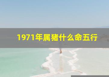 1971年属猪什么命五行