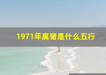 1971年属猪是什么五行