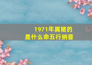 1971年属猪的是什么命五行纳音