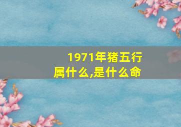 1971年猪五行属什么,是什么命