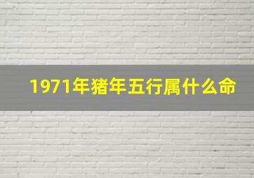 1971年猪年五行属什么命