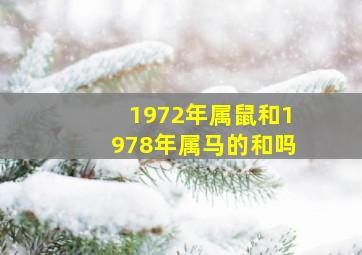 1972年属鼠和1978年属马的和吗