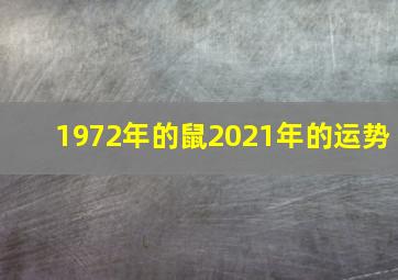 1972年的鼠2021年的运势