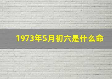 1973年5月初六是什么命