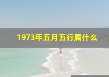 1973年五月五行属什么