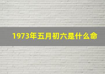 1973年五月初六是什么命