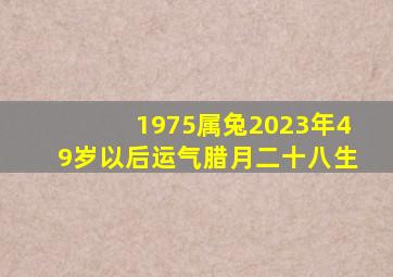 1975属兔2023年49岁以后运气腊月二十八生