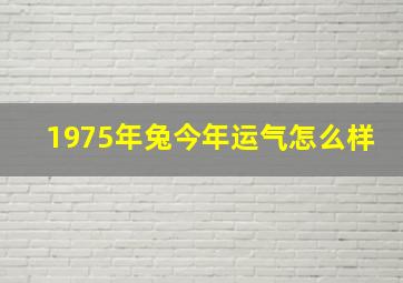 1975年兔今年运气怎么样