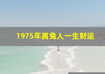 1975年属兔人一生财运