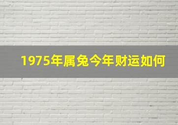 1975年属兔今年财运如何