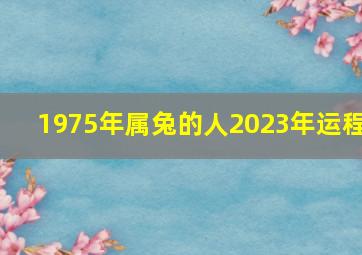 1975年属兔的人2023年运程