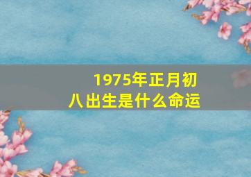 1975年正月初八出生是什么命运