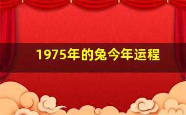 1975年的兔今年运程